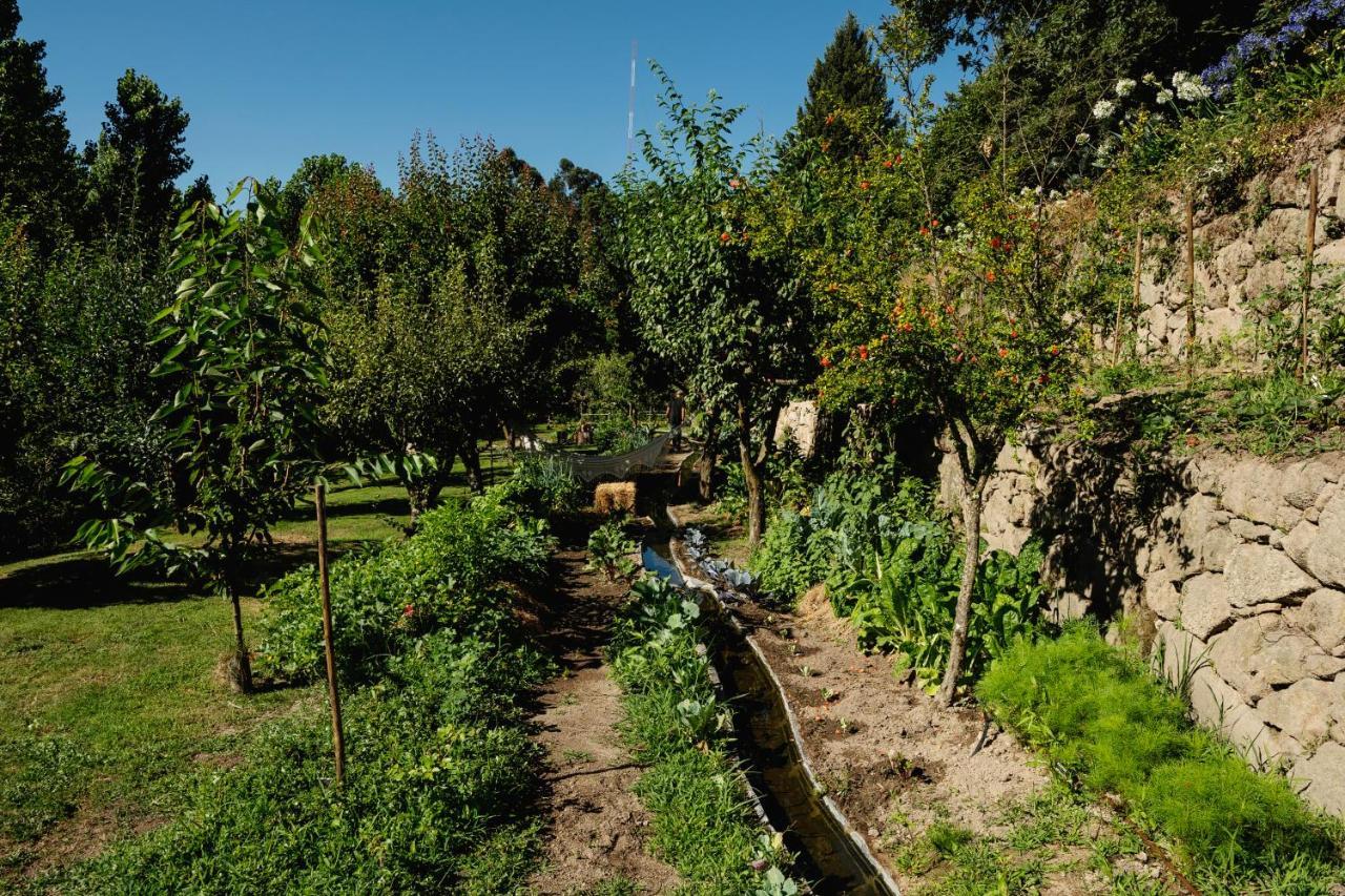 Casa Agricola Da Levada Eco Village Vila Real Luaran gambar